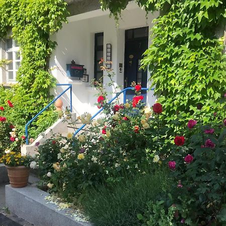 Kunsthaus Mit Gartensauna Dierdorf Buitenkant foto