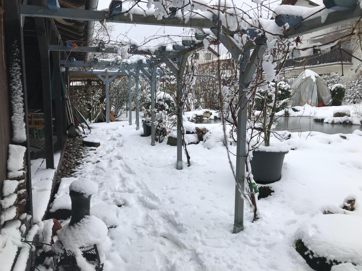 Kunsthaus Mit Gartensauna Dierdorf Buitenkant foto
