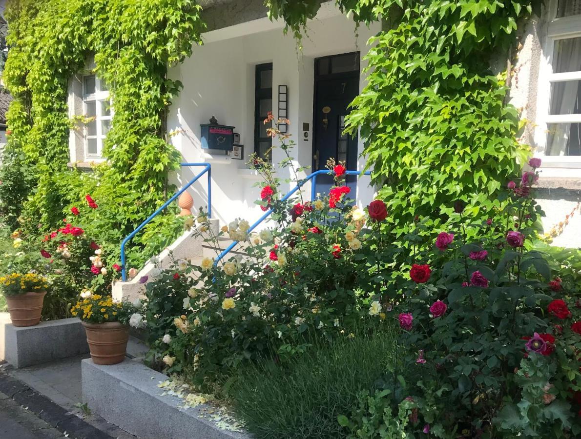Kunsthaus Mit Gartensauna Dierdorf Buitenkant foto