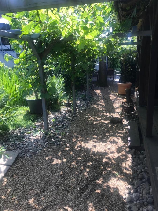 Kunsthaus Mit Gartensauna Dierdorf Buitenkant foto